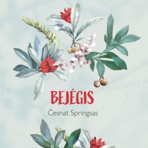 Bejėgis