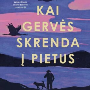 Kai gervės skrenda į pietus