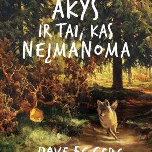 Akys ir tai, kas neįmanoma