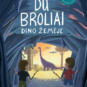 Du broliai 4. Dino žemėje