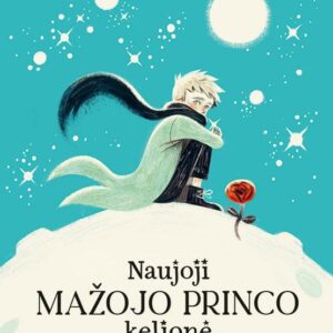 Naujoji Mažojo princo kelionė