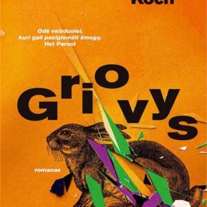 Griovys