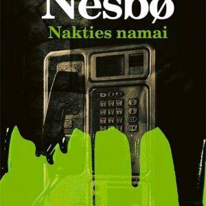 Nakties namai