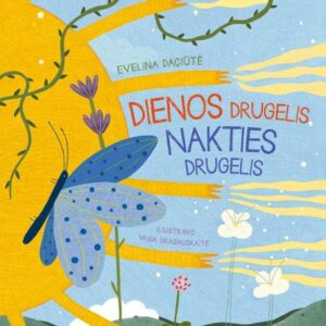 Dienos drugelis, nakties drugelis