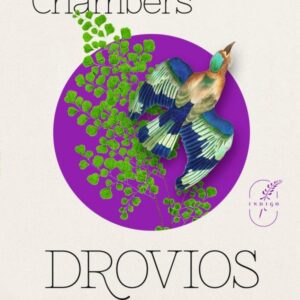 Drovios sielos