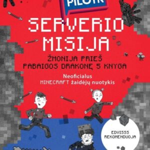 PILDYK serverio misija
