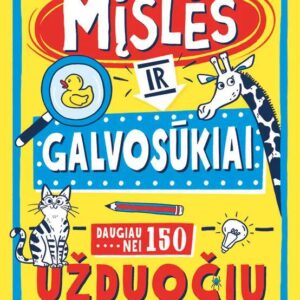 Rask ir įmink. Mįslės ir galvosūkiai