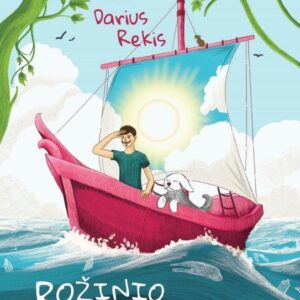 Rožinio laivo piratas