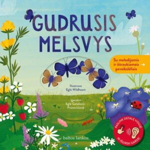 Gudrusis Melsvys